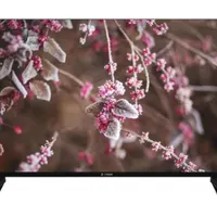 ال ای دی اسنوا Smart UHD هوشمند 55 اینچ|تلویزیون و پروژکتور|رشت, دیلمان|دیوار