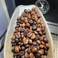 فروش عمده قهوه و شکلات