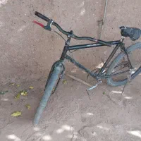 دوچرخه 26|دوچرخه، اسکیت، اسکوتر|تربت جام, میان جام|دیوار