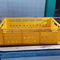 سبد پلاستیکی