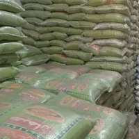 برنج پاکستانی|خوردنی و آشامیدنی|مشهد, فدک|دیوار