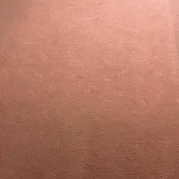 موکت ۱۶متری