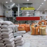 برنج صدری آستانه و دمسیاه ۲/۵تن فوق اعلا