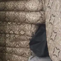 فروش تعدادی وسایل|حراج|شادگان, |دیوار