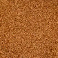 بذره یونجه