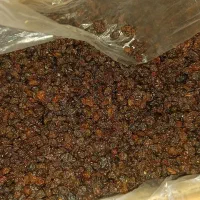 کشمش افتابی پاک شده