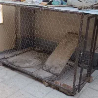 قفس حیوانات