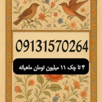 0913.157.0264