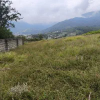 زمین|پیش‌فروش املاک|چمستان, |دیوار