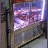 یخچال ایستاده و فریز ر بستنی