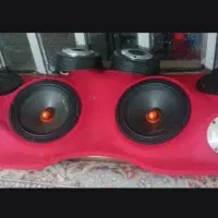 سیستم حرفه ای اصلی