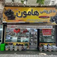فروشندگی