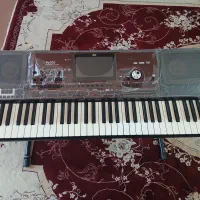 ارگ pa700