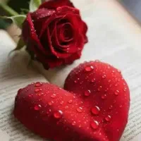 یلدا آتلیه عکاسی تیزر کلیپ تولد جشن مراسم عروسی