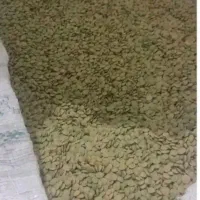 عدس درجه یک مغان