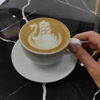 دوره حرفـه ای بـاریستـا - آمـوزش باریستا