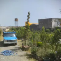 استخدام نیروی کار برای گلخونه|استخدام خدمات فروشگاه و رستوران|چمستان, |دیوار