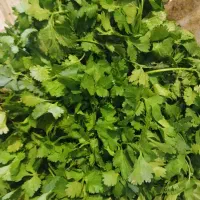 سبزی خورشتی تازه درجه یک