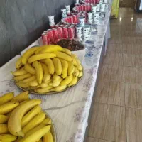 ثبت نام کربلای معلی بااسکانیامارال|تور و چارتر|اردبیل, |دیوار