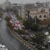 هم خانه همخونه همخانه