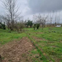 زمین کشاورزی شصت هزارمتر
