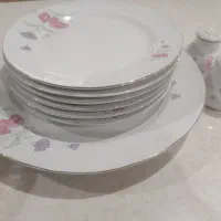 ظروف پذیرایی