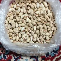 پسته مه ولات