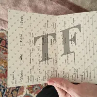 ویولن tf 142 4/4|ویولن|اصفهان, فرح آباد|دیوار