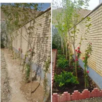 کلیه امور باغبانی صفر تاصد انجام می‌شود|خدمات باغبانی و درختکاری|کرج, فاز ۲ مهرشهر|دیوار