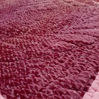 لحاف دو نفره و یک نفره|رختخواب، بالش، پتو|اهواز, کوروش|دیوار