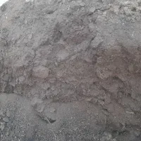 کود گوسفندی