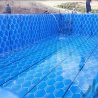 ایزوگام و قیروگونی زاهد محمدی