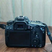 canon 90d|دوربین عکاسی و فیلم‌برداری|پرند, فاز ۲|دیوار