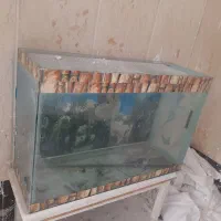 آکواریوم