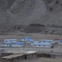 درخت کانکس های سازه های ساندویچ پانلی|حراج|زنجان, |دیوار