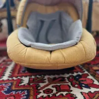 کریر نوزاد