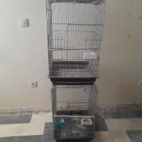 قفس‌۱۰۳۳نو