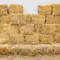 فروش یونجه و کلش با کیفیت در مراغه