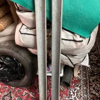 مرغ خانگی|حیوانات مزرعه|فرخ‌شهر, |دیوار