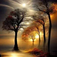 آدمین حرفه ای برای پیج اینستاگرام 50k