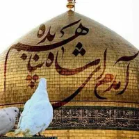 تخفیف ویژه تور زمینی مشهد مقدس