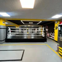 مربیگری بوکس