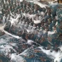 مبل شویی خانگی و خشک شویی