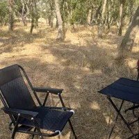 باغ محدوده روستای باروق|فروش دفتر صنعتی، کشاورزی، تجاری|اردبیل, |دیوار