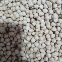 حبوبات به قیمت عمده