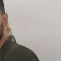 عروس هلندی|پرنده|سنندج, |دیوار