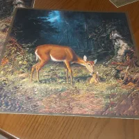 مخمل آنتیک|تابلو، نقاشی، عکس|تهران, استخر|دیوار