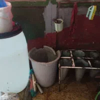 وسایل مرغ فروشی|فروشگاه و مغازه|ایلام, |دیوار