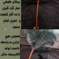 بلدرچین ماهی غازاردک مرغ شاخداربره کهره بزه میش|حیوانات مزرعه|یاسوج, |دیوار