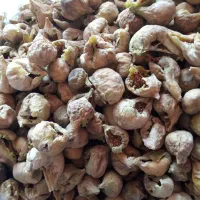 فروش 50کیلو انجیر گنجشکی
